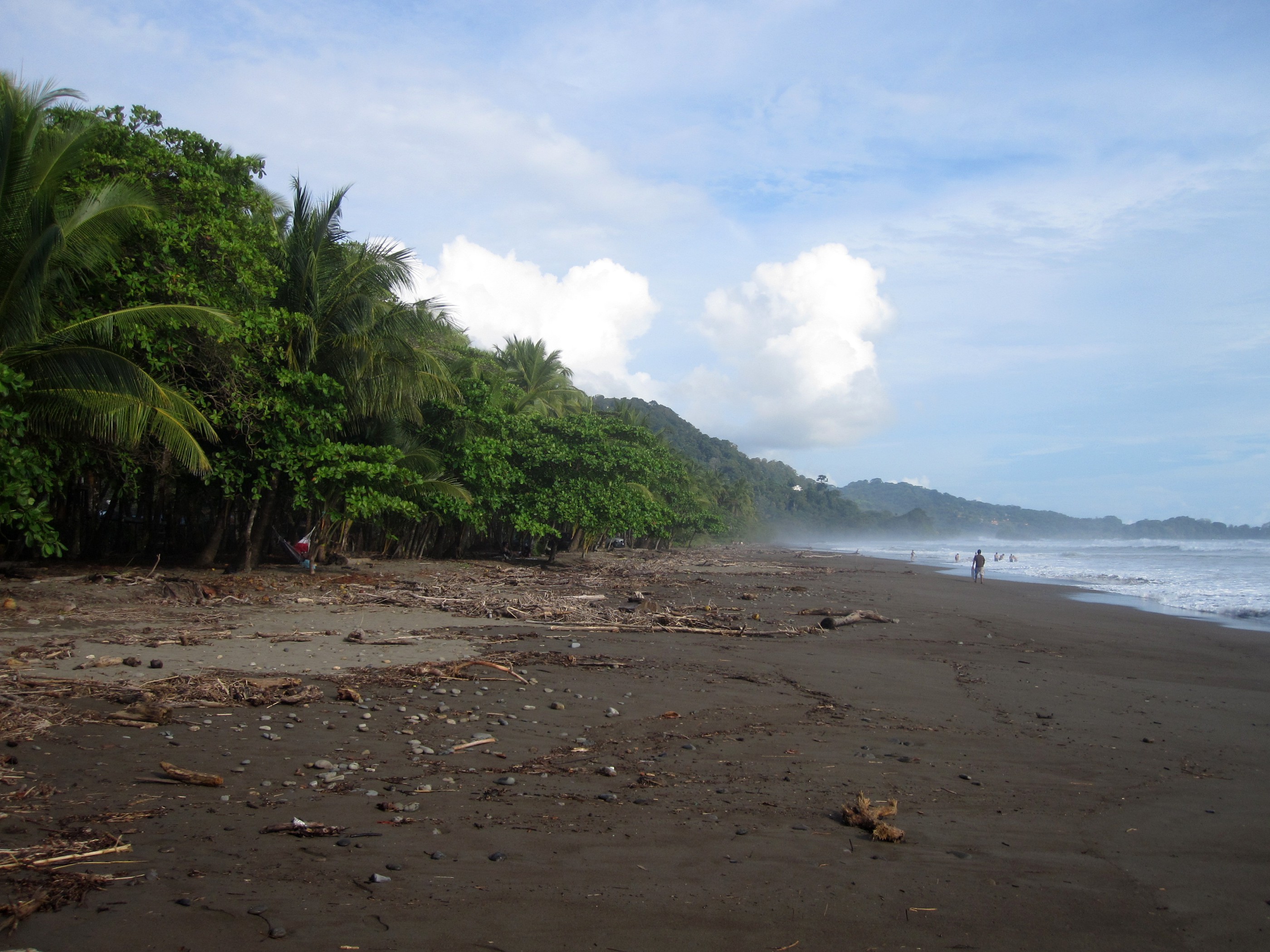 9 Interesting Facts About Dominical