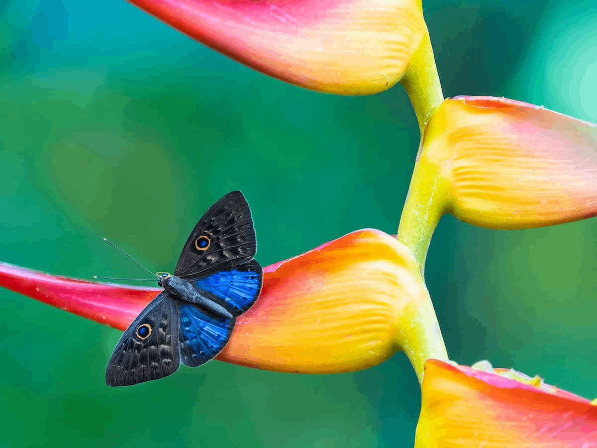 Things to Do in Manuel Antonio